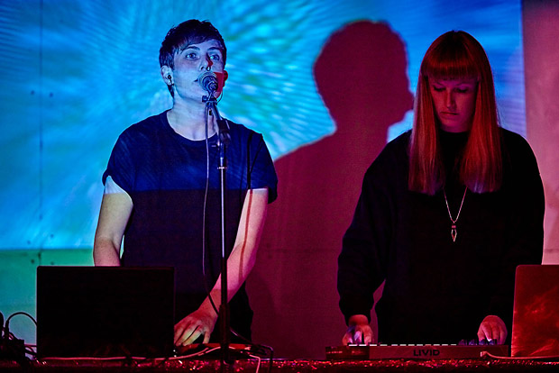 Strip Down & Lunar Safari